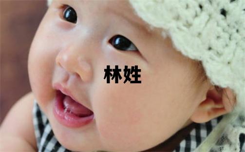 林姓有新意的女寶寶名字