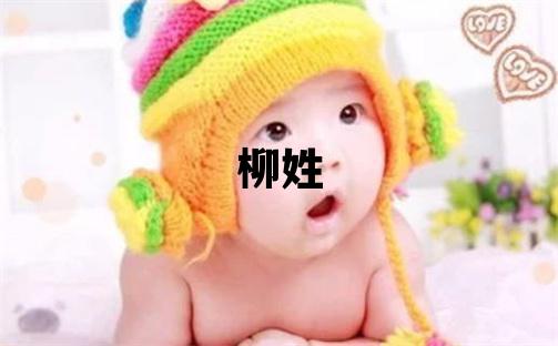 柳姓取名大氣文雅的男寶寶名字