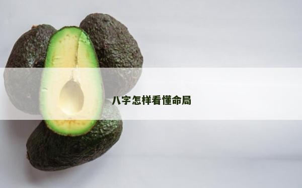 八字怎樣看懂命局