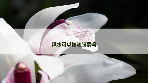 風水可以推測股票嗎
