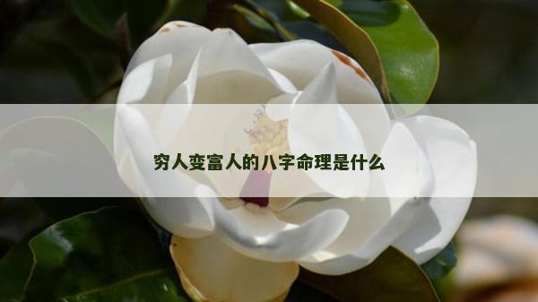 窮人變富人的八字命理是什么