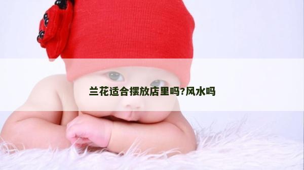 蘭花適合擺放店里嗎?風水嗎