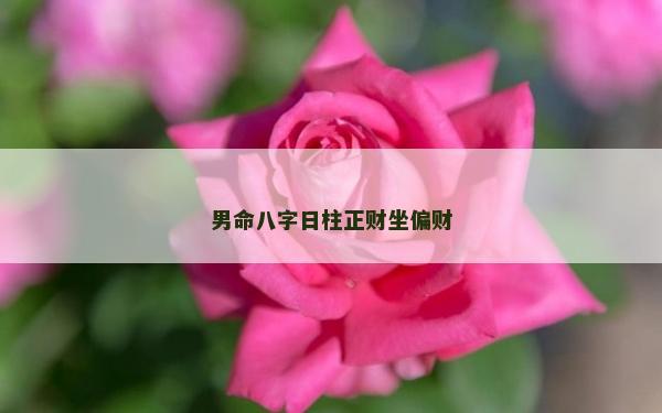 男命八字日柱正財(cái)坐偏財(cái)