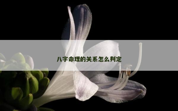 八字命理的關系怎么判定