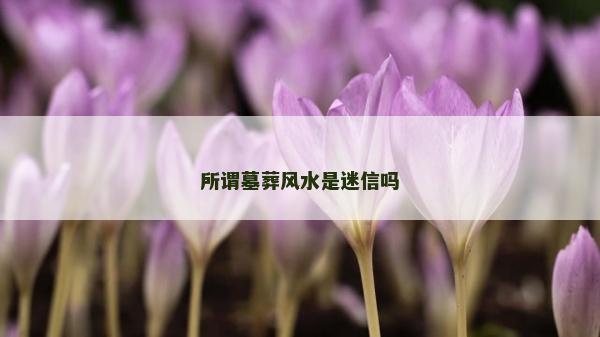 所謂墓葬風(fēng)水是迷信嗎