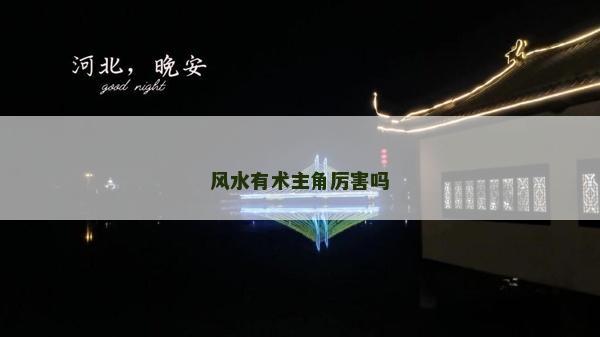 風水有術主角厲害嗎