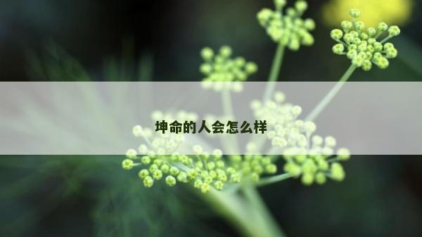 坤命的人會(huì)怎么樣