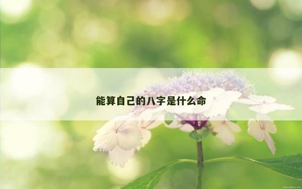 能算自己的八字是什么命