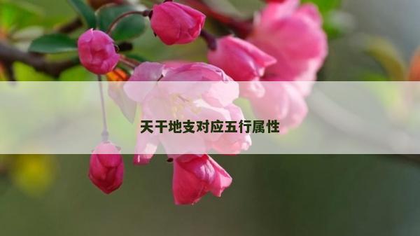 天干地支對(duì)應(yīng)五行屬性