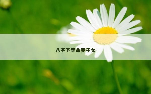 八字下等命克子女