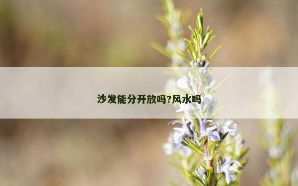 沙發(fā)能分開放嗎?風(fēng)水嗎