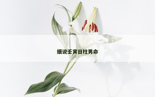細說壬寅日柱男命
