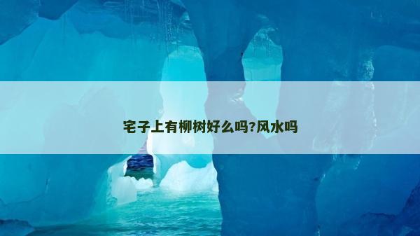 宅子上有柳樹好么嗎?風水嗎