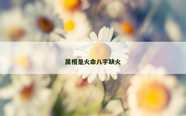 屬相是火命八字缺火