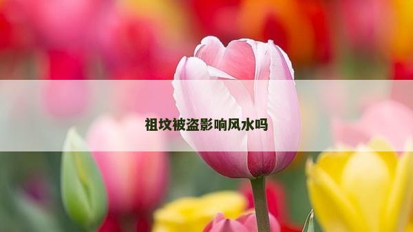 祖墳被盜影響風水嗎