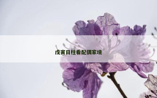 戊寅日柱看配偶家境