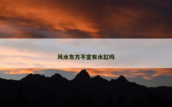 風水東方不宜有水缸嗎