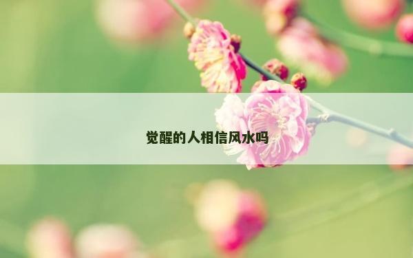 覺醒的人相信風水嗎