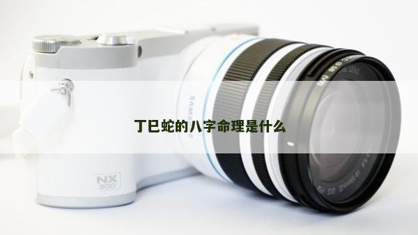 丁巳蛇的八字命理是什么