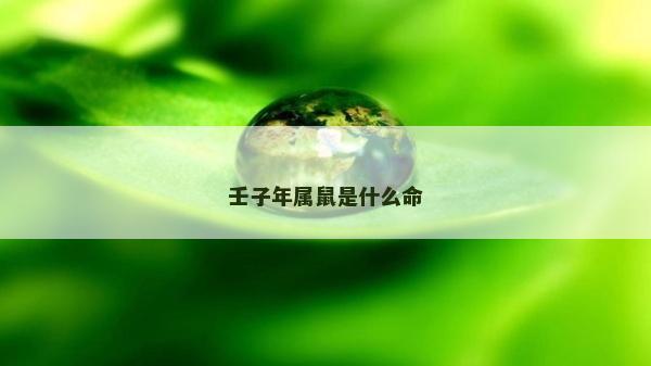 壬子年屬鼠是什么命