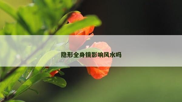 隱形全身鏡影響風水嗎