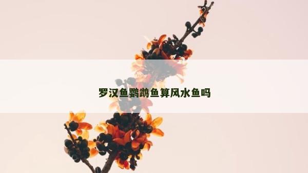 羅漢魚鸚鵡魚算風水魚嗎