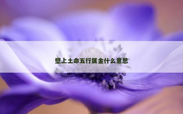 壁上土命五行屬金什么意思
