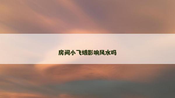 房間小飛蛾影響風水嗎