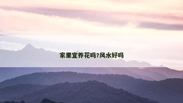 家里宜養(yǎng)花嗎?風(fēng)水好嗎