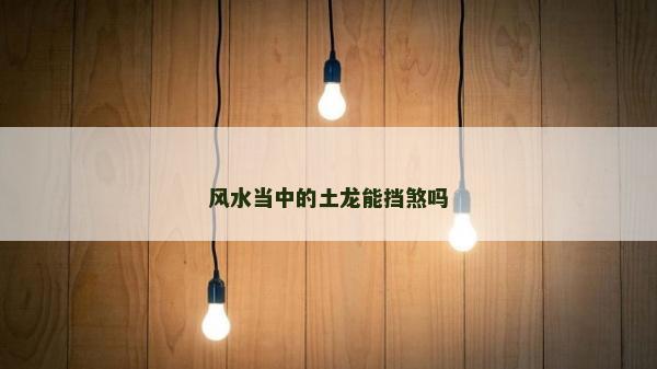 風水當中的土龍能擋煞嗎