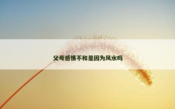 父母感情不和是因為風水嗎