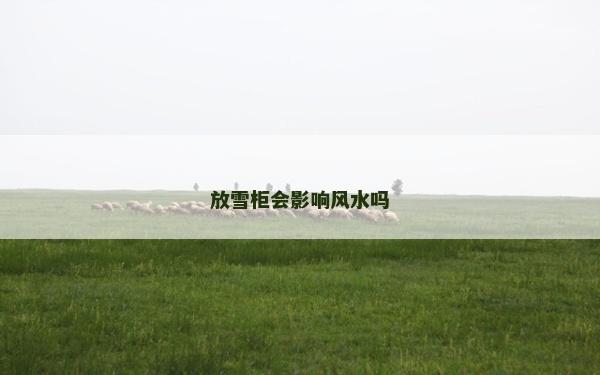 放雪柜會影響風水嗎