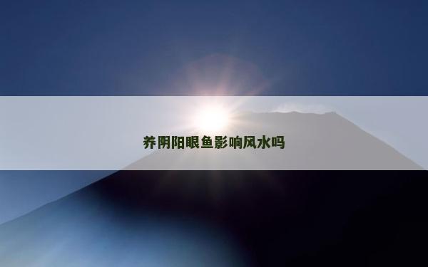 養陰陽眼魚影響風水嗎