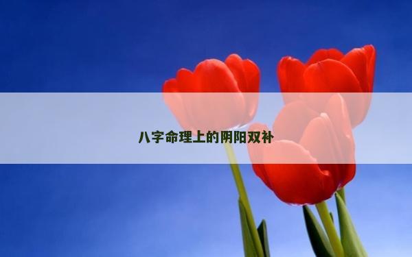 八字命理上的陰陽雙補