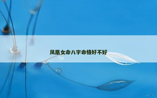 鳳凰女命八字命格好不好