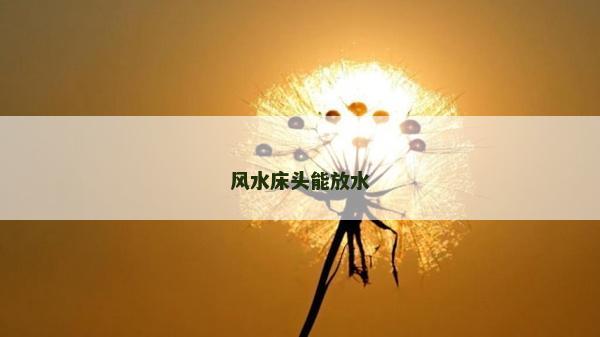 風水床頭能放水