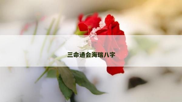 三命通會海瑞八字
