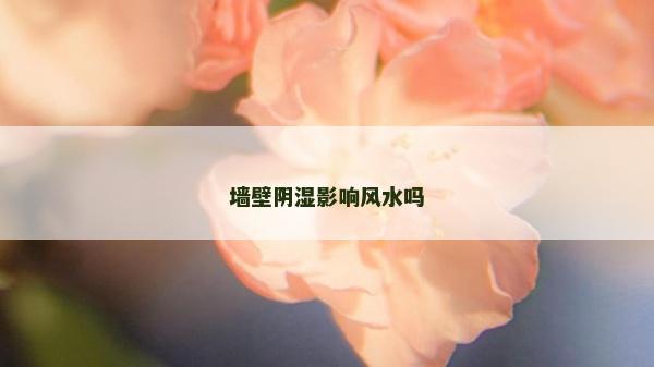 墻壁陰濕影響風水嗎