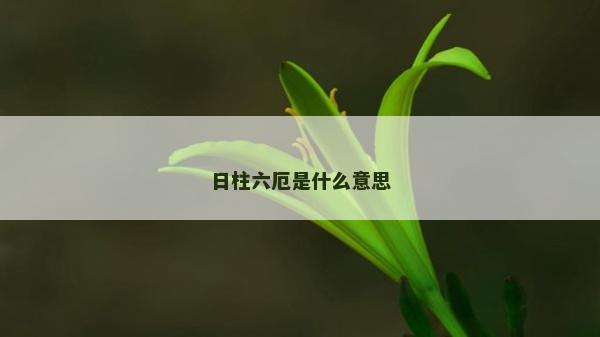 日柱六厄是什么意思