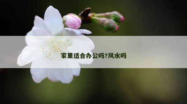 家里適合辦公嗎?風水嗎