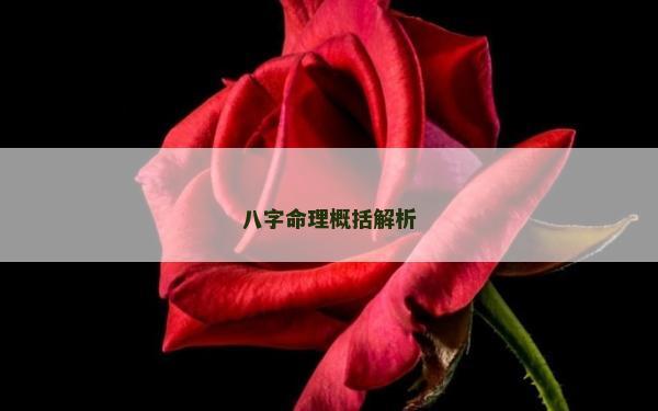 八字命理概括解析 八字命理概括解析