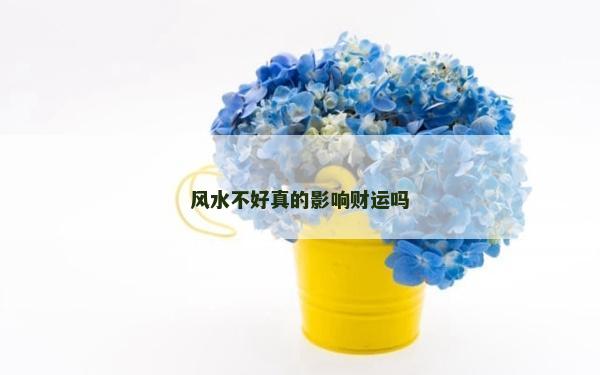 風(fēng)水不好真的影響財(cái)運(yùn)嗎