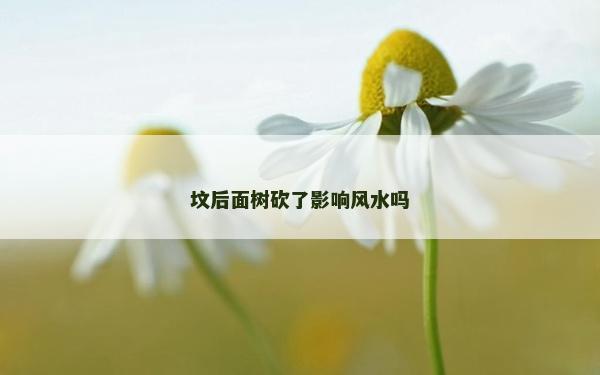 墳后面樹砍了影響風水嗎
