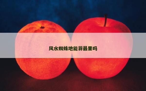 風水蜘蛛地能葬最里嗎