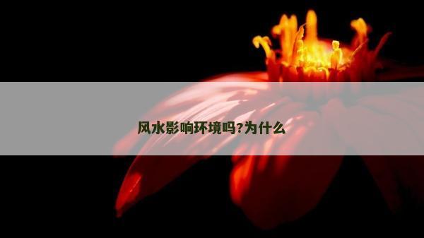 風水影響環境嗎?為什么