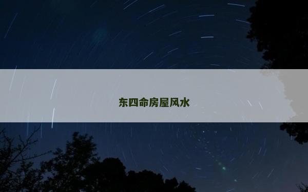 東四命房屋風水