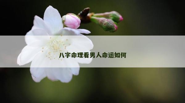 八字命理看男人命運如何