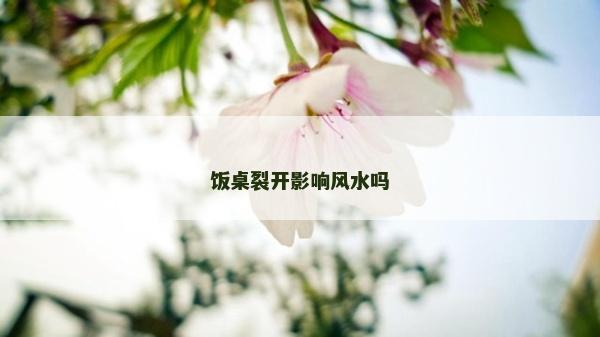飯桌裂開影響風水嗎