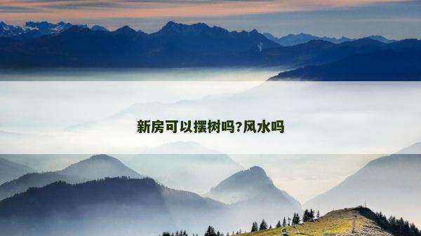 新房可以擺樹嗎?風水嗎