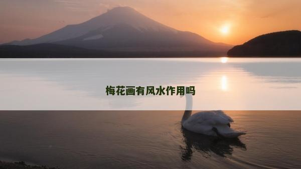 梅花畫有風水作用嗎